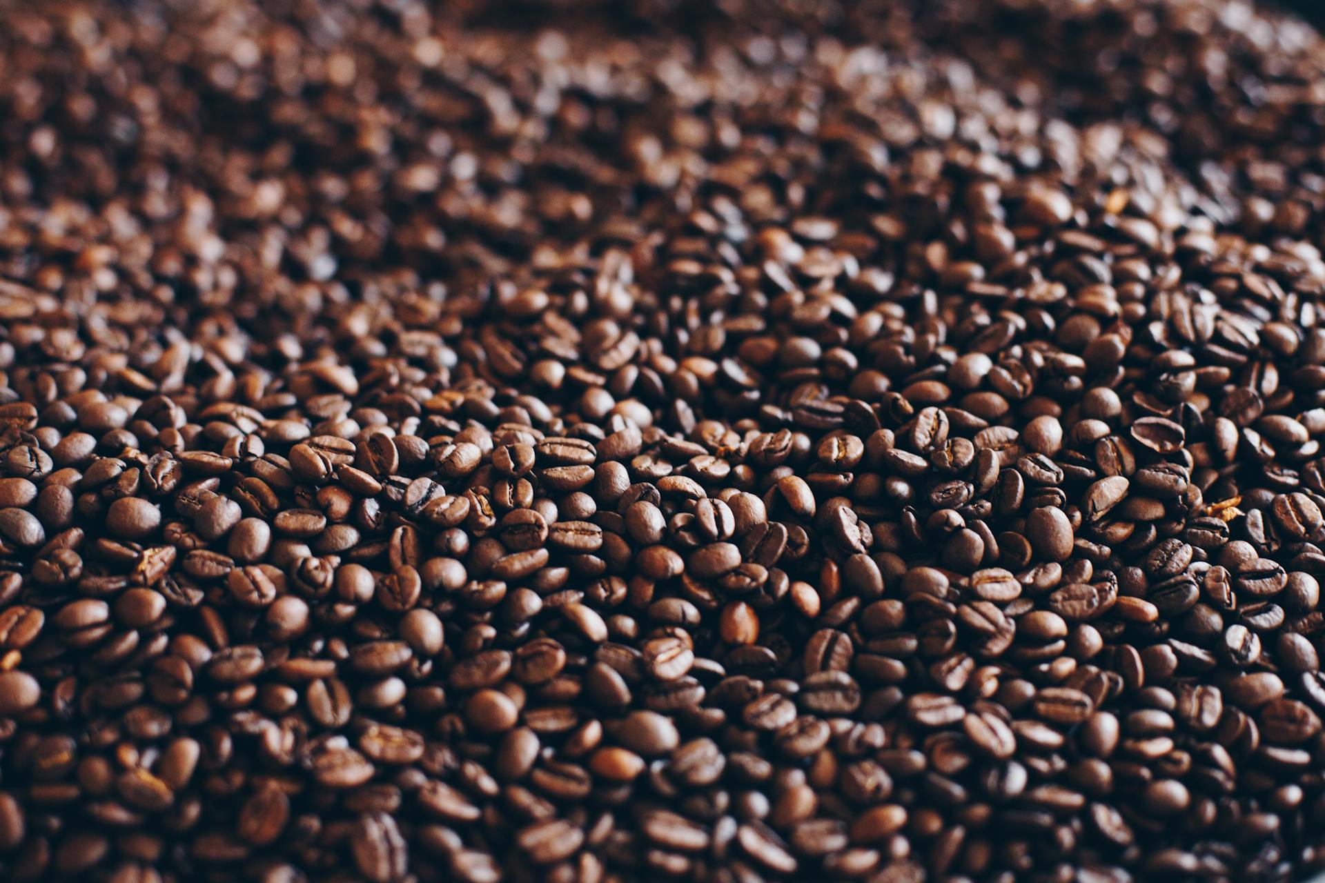 Close-up of specialty single-origin coffee beans roasted for The Roaring Bean's signature espresso — Tanzanian Peaberry
